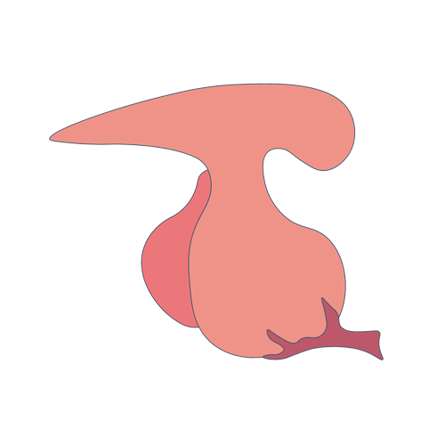 线粒体病基因检测，基因解码