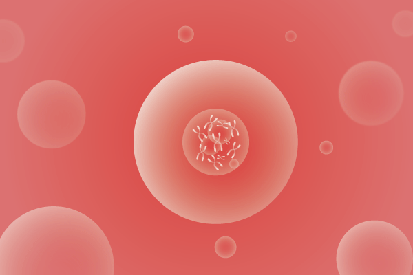CNV,拷贝数变化遗传病、基因病、罕见病基因解码，基因检测，基因筛查与分子诊断
