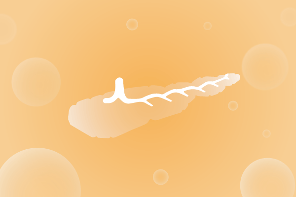 内分泌系统，腺体，胰腺遗传病、基因病、罕见病基因解码，基因检测，基因筛查与分子诊断