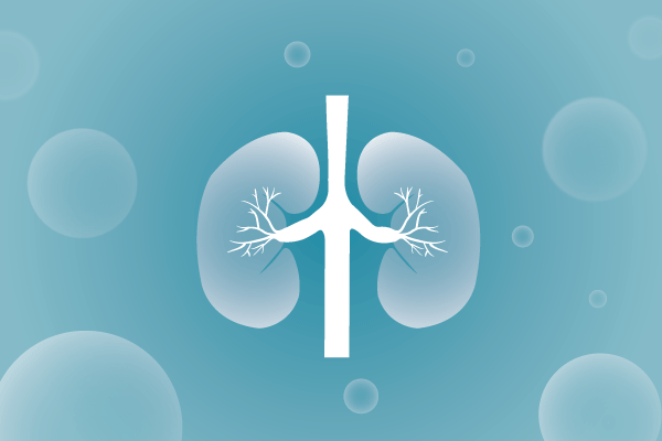 泌尿系统，肾脏，膀胱，尿病，肾不好遗传病、基因病、罕见病的基因解码，基因检测，基因筛查与分子诊断