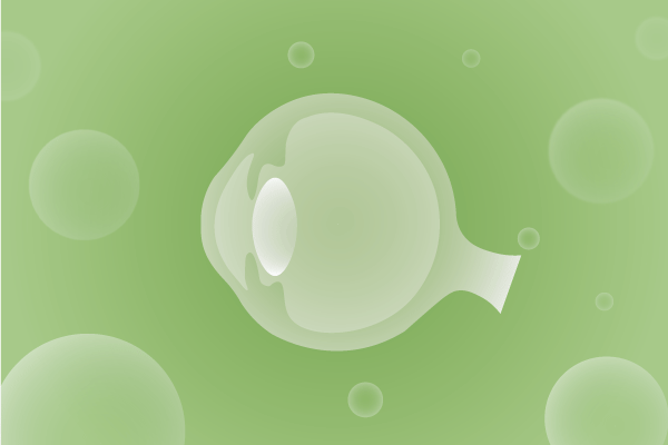 眼科，视光中心，眼科诊所，眼睛相关遗传病、基因病、罕见病的基因解码，基因检测，基因筛查与分子诊断