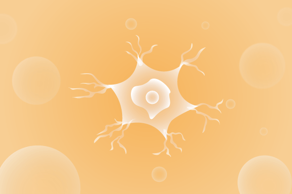 神经科肌肉系统及运动神经系统遗传病、基因病、罕见病的基因解码，基因检测，基因筛查与分子诊断