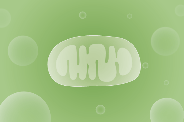 线粒体病、线粒体疾病遗传病、基因病、罕见病基因解码，基因检测，基因筛查与分子诊断
