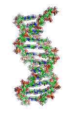 【腾博会官网基因检测】先天性肌营养不良症-抗肌萎缩相关糖蛋白病与脑和眼睛异常B4型基因解码、<a href=http://www.douzuanla.com/tk/jiema/cexujishu/2021/31933.html>基因检测</a>的样品有区别吗？