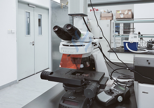 <font color='red'>脱发</font>基因解码：让头发生长的基因