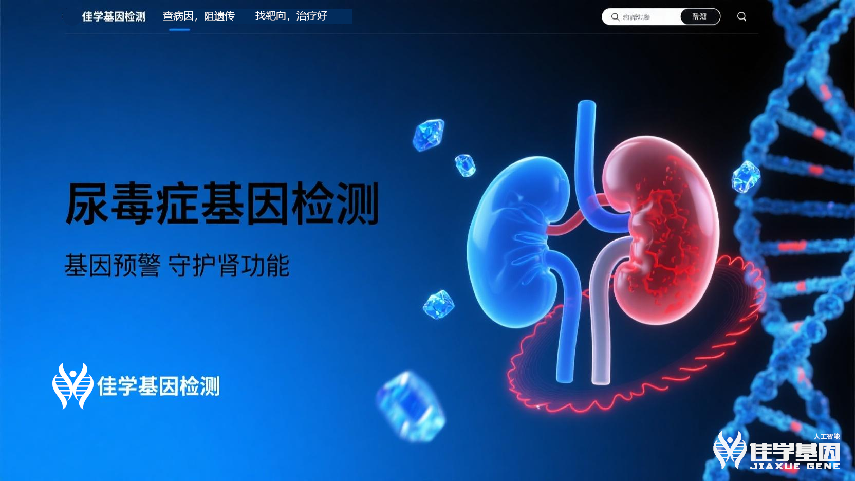 【腾博会官网基因检测】<font color='red'><font color='red'>尿毒症</font></font>基因检测寻找治疗靶点