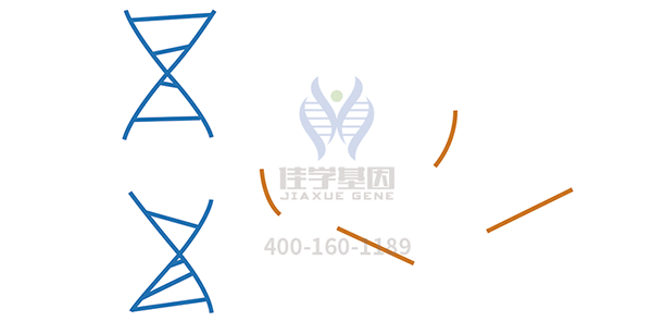 <b>【腾博会官网基因检测</b>