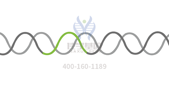 【腾博会官网基因检测】多发性<font color='red'><font color='red'>骨髓</font>瘤</font>（Multiple Myeloma）靶向药物使用前的基因检测